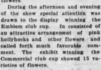 A newspaper column reporting that the display winning the Emblem club cup consisted of an attractive arrangement of pink hollyhocks and other flowers.