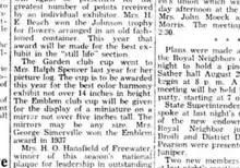 A newspaper column describing the cups to be awarded at the flower show, including the Emblem club cup for a miniature displayed on a mirror.