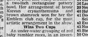 A newspaper paragraph reporting that an arrangement of chrysanthemums and shamrock won the Emblem club cup for the most artistic arrangement in the show.